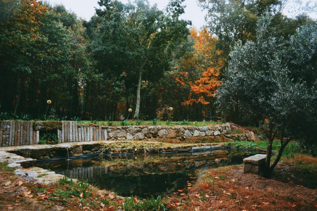 Quinta Das Fontes - Alojamento Rustico Local E Turismo Rural São Pedro do Sul Εξωτερικό φωτογραφία