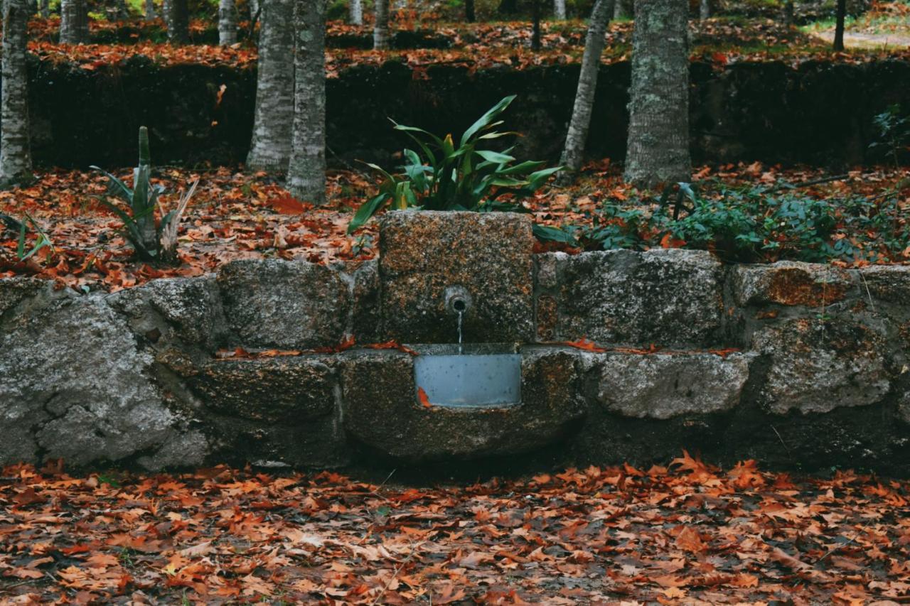 Quinta Das Fontes - Alojamento Rustico Local E Turismo Rural São Pedro do Sul Εξωτερικό φωτογραφία