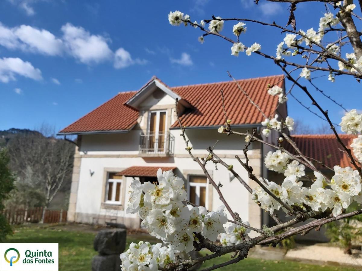 Quinta Das Fontes - Alojamento Rustico Local E Turismo Rural São Pedro do Sul Εξωτερικό φωτογραφία