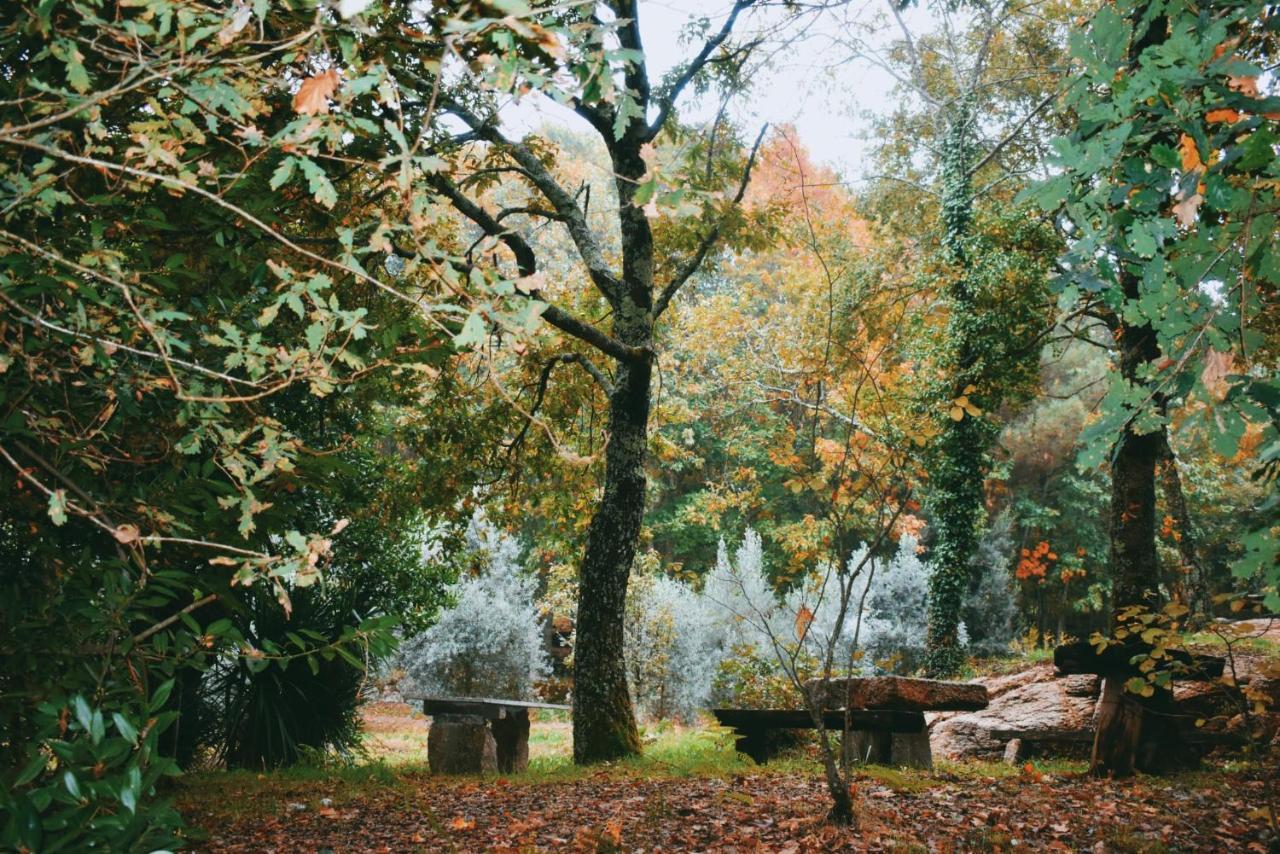 Quinta Das Fontes - Alojamento Rustico Local E Turismo Rural São Pedro do Sul Εξωτερικό φωτογραφία
