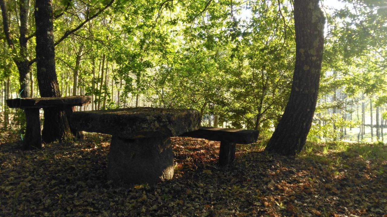Quinta Das Fontes - Alojamento Rustico Local E Turismo Rural São Pedro do Sul Εξωτερικό φωτογραφία