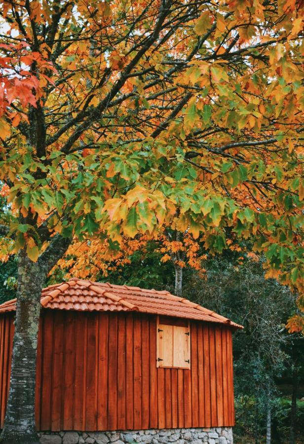 Quinta Das Fontes - Alojamento Rustico Local E Turismo Rural São Pedro do Sul Εξωτερικό φωτογραφία