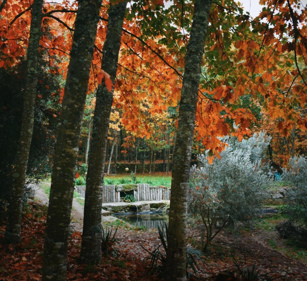 Quinta Das Fontes - Alojamento Rustico Local E Turismo Rural São Pedro do Sul Εξωτερικό φωτογραφία