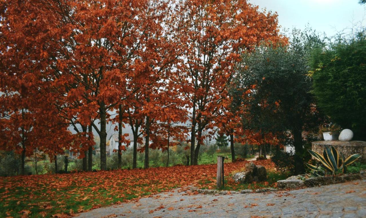 Quinta Das Fontes - Alojamento Rustico Local E Turismo Rural São Pedro do Sul Εξωτερικό φωτογραφία