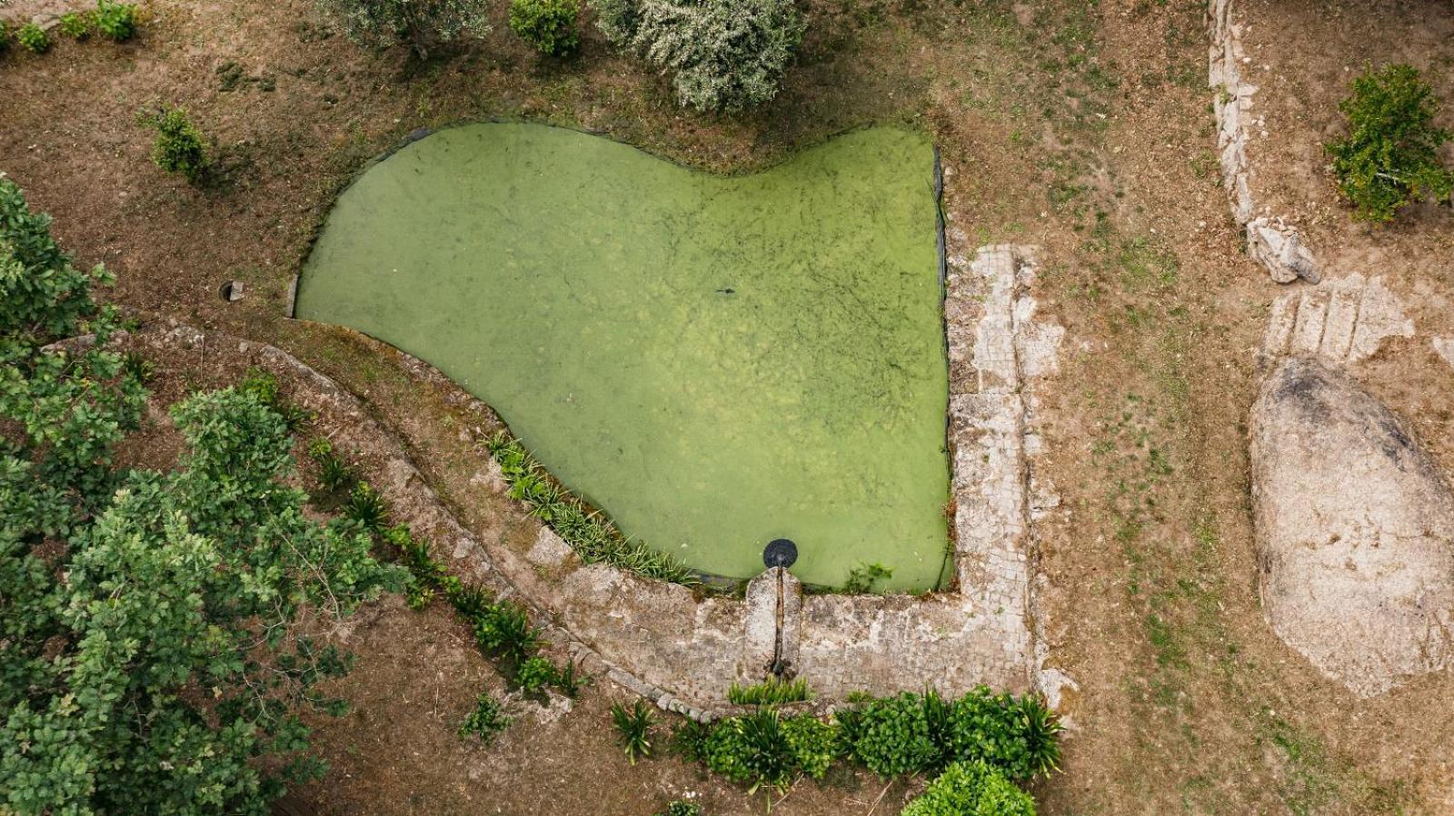 Quinta Das Fontes - Alojamento Rustico Local E Turismo Rural São Pedro do Sul Εξωτερικό φωτογραφία