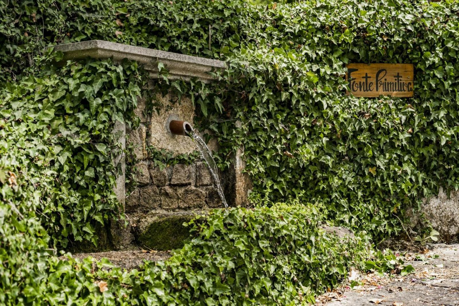 Quinta Das Fontes - Alojamento Rustico Local E Turismo Rural São Pedro do Sul Εξωτερικό φωτογραφία