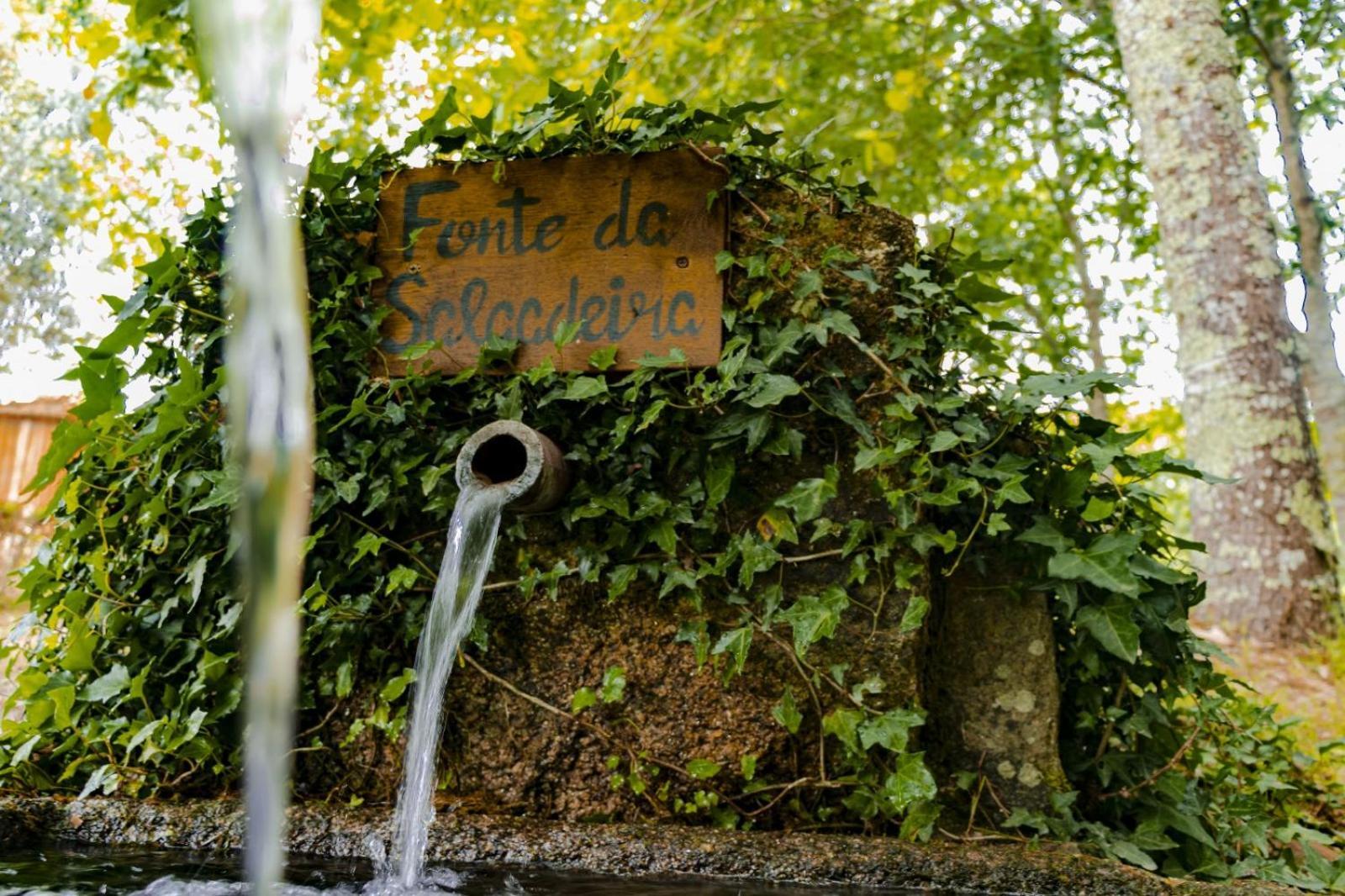 Quinta Das Fontes - Alojamento Rustico Local E Turismo Rural São Pedro do Sul Εξωτερικό φωτογραφία