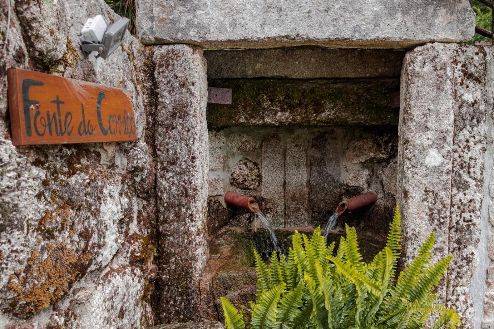Quinta Das Fontes - Alojamento Rustico Local E Turismo Rural São Pedro do Sul Εξωτερικό φωτογραφία