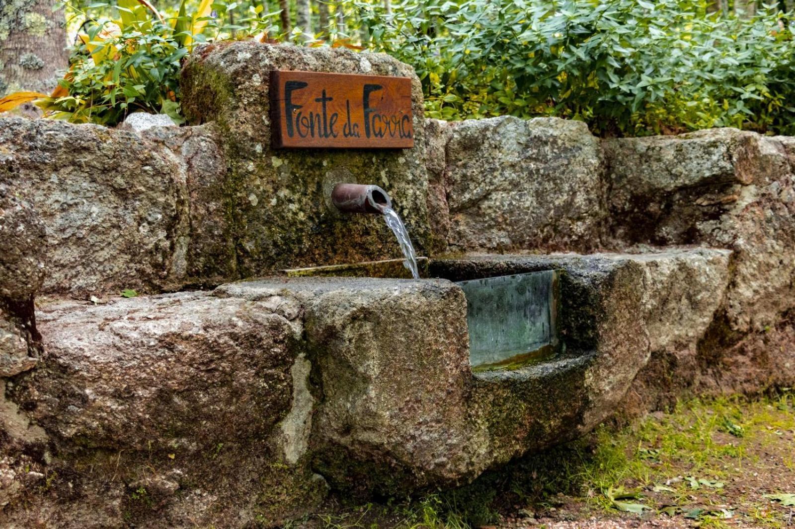Quinta Das Fontes - Alojamento Rustico Local E Turismo Rural São Pedro do Sul Εξωτερικό φωτογραφία